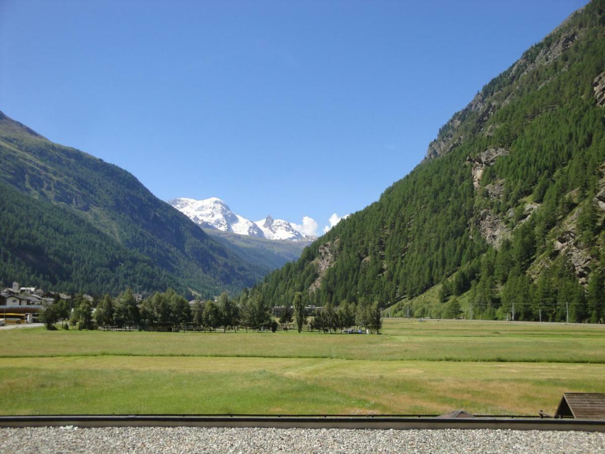 Monte Rosa D 412 Aparthotel Tasch Exterior photo